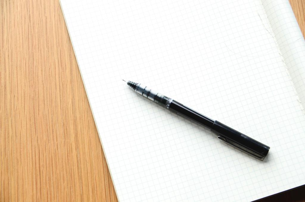 Anna Mueller, Lead Researcher at rematay