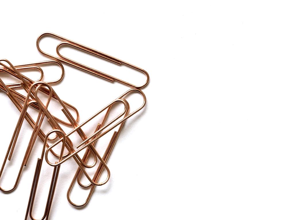 Eva Müller profile photo